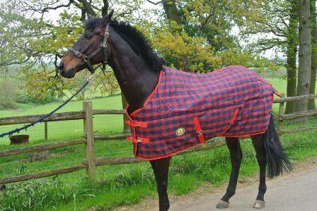 Couverture Ecurie Ecossaise 200g - SHOP HORSE